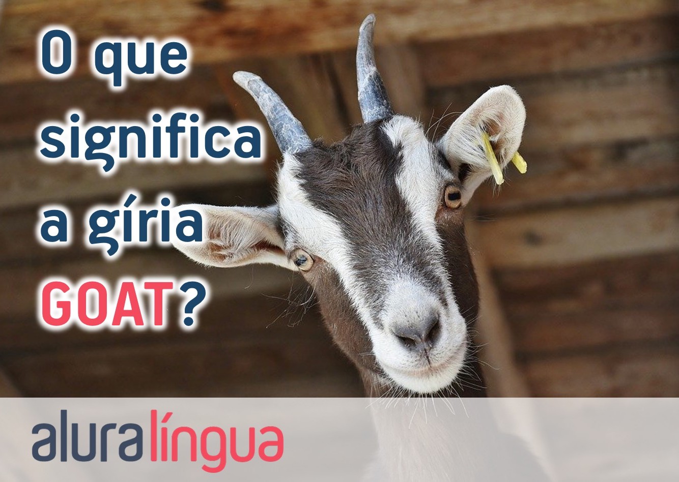 O Que Significa A G ria GOAT Cursos De Ingl s